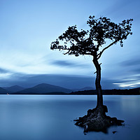 Buy canvas prints of Loch Lomond tree eight minute exposure by JC studios LRPS ARPS