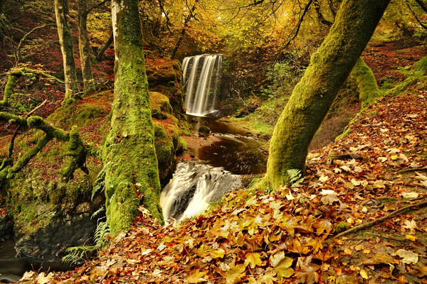 Dalcairney Falls in Autumn Picture Board by JC studios LRPS ARPS