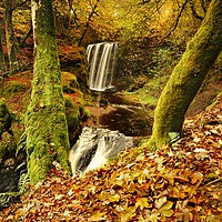 Buy canvas prints of Dalcairney Falls in Autumn by JC studios LRPS ARPS