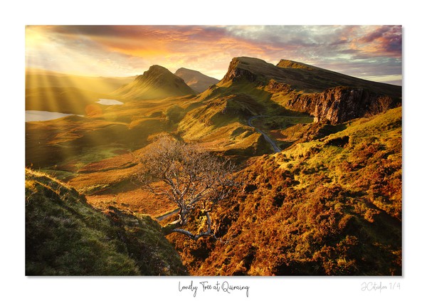 Lonely Tree at Quiraing  Picture Board by JC studios LRPS ARPS