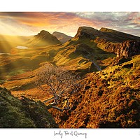 Buy canvas prints of Lonely Tree at Quiraing  by JC studios LRPS ARPS