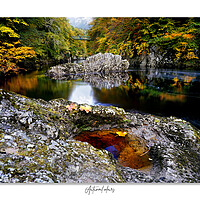 Buy canvas prints of Autumnal colour. by JC studios LRPS ARPS