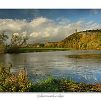 Buy canvas prints of Wallace monument in autumn by JC studios LRPS ARPS