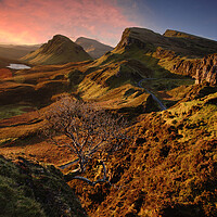 Buy canvas prints of  The Quiraing , Skye, Scotland by JC studios LRPS ARPS