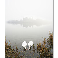 Buy canvas prints of     Team work,  makes the dream  work, Linlithgow, Scotland. Palace, Queen, Swans, lake by JC studios LRPS ARPS