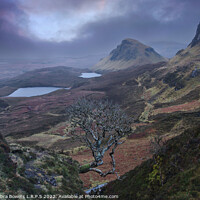 Buy canvas prints of Quiraing and the Tree by Lady Debra Bowers L.R.P.S