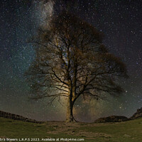 Buy canvas prints of Sycamore Gap  by Lady Debra Bowers L.R.P.S
