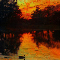 Buy canvas prints of Sunset at Hatchet Pond by Lady Debra Bowers L.R.P.S