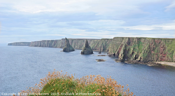 Duncansby Head Stacks Framed Print by Lady Debra Bowers L.R.P.S