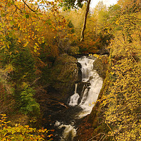Buy canvas prints of Autumn at Reekie Linn Falls  by Lady Debra Bowers L.R.P.S