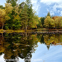 Buy canvas prints of Autumn Reflection by Lady Debra Bowers L.R.P.S