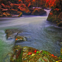 Buy canvas prints of Watersmeet Lynton & Lynmouth by Stephen Walters