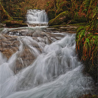 Buy canvas prints of spring watersflow by Stephen Walters