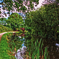Buy canvas prints of great western canal by Stephen Walters