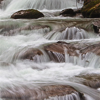Buy canvas prints of fresh spring flow by Stephen Walters