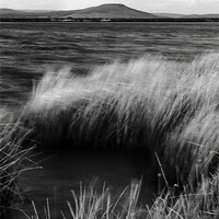 Buy canvas prints of Sugarloaf brecon beacons mono by simon powell