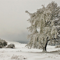 Buy canvas prints of frozen planet black mountains brecon beacons by simon powell