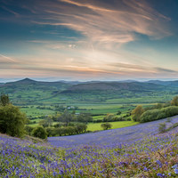 Buy canvas prints of Bluebells skirrid hill Brecon Beacons 8597 by simon powell