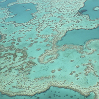 Buy canvas prints of Looking down on the Great barrier reef  by Jeff Hardwick