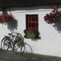 Buy canvas prints of Irish Cottage by Matthew Laming