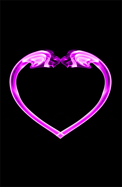 Pink heart on black Picture Board by Steve Purnell