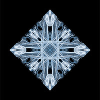 Buy canvas prints of Snowflake 1 by Steve Purnell