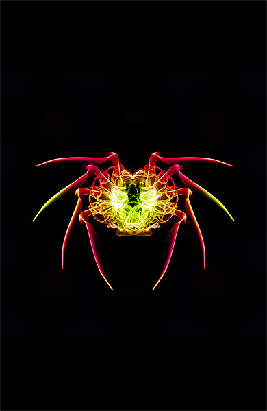 Smoke Spider 1 Picture Board by Steve Purnell