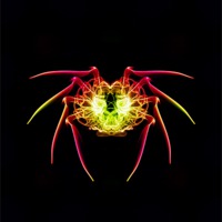 Buy canvas prints of Smoke Spider 1 by Steve Purnell