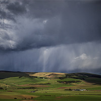 Buy canvas prints of ...upon us all a little rain must fall. by Douglas McMann