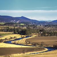 Buy canvas prints of Blue skies over the Vale by Douglas McMann