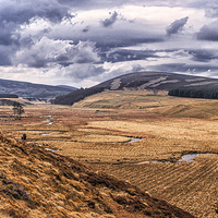 Buy canvas prints of ...in the shadow of Glen Avon by Douglas McMann