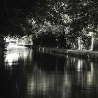 Buy canvas prints of  Canal Jogger by Douglas McMann
