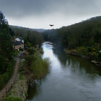 Buy canvas prints of Buzzards over Ironbridge by Carol Young
