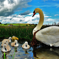 Buy canvas prints of Mother and Kids by Bob Legg