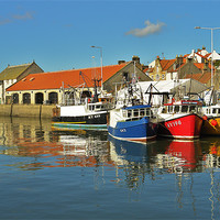 Buy canvas prints of Pittenweem Harbour by Bob Legg