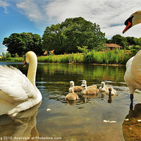 Buy canvas prints of The Family by Bob Legg