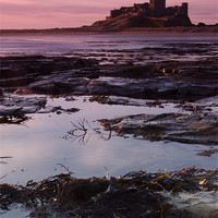 Buy canvas prints of Bamburgh Castle by Brian Dingle