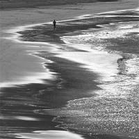 Buy canvas prints of Beach Runner by Brian Dingle