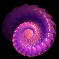 Buy canvas prints of Pink Shell by Abstract  Fractal Fantasy