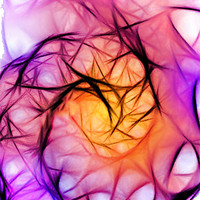 Buy canvas prints of Thorn Bush by Abstract  Fractal Fantasy