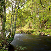 Buy canvas prints of River Teign Dartmoor by Jonathan Neale