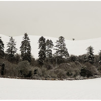 Buy canvas prints of North Chilterns Snowscape by paolo d sharp