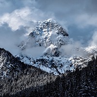 Buy canvas prints of Winter Alps by Alex Hynes