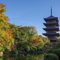 Buy canvas prints of Autumn Pagoda in Kyoto, Japan by Alex Hynes