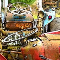 Buy canvas prints of Vintage Tractors by Jackie Forrest