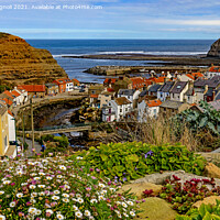 Buy canvas prints of Staithes Village by Cass Castagnoli