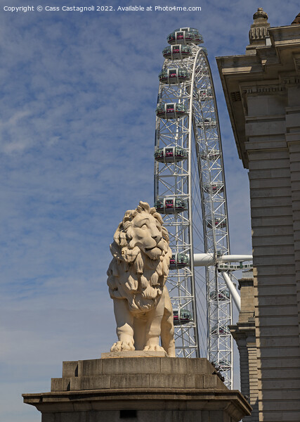 The Southbank Lion Picture Board by Cass Castagnoli