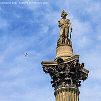 Buy canvas prints of Nelson's Column - Trafalgar Square, London by Cass Castagnoli