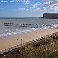 Buy canvas prints of  Signs of Summer - Saltburn by the Sea by Cass Castagnoli