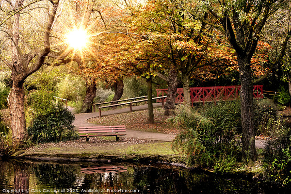 Autumn in the park - Locke Park Redcar Picture Board by Cass Castagnoli